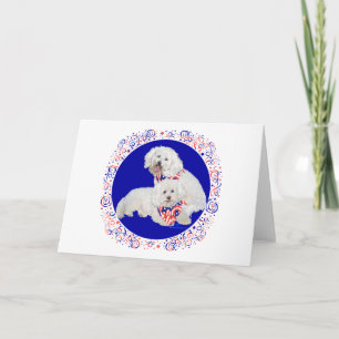 Cartão Bichon Frise Vermelho Branco Azul