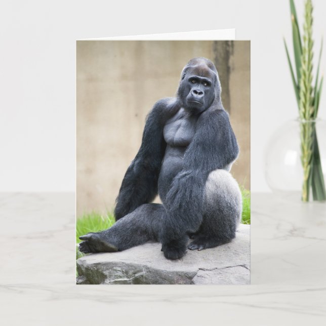 Cartão Big Ape (Frente)