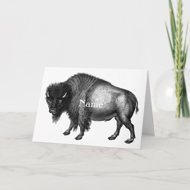 Cartão Big Bison Buffalo Thunder_Cove (Frente)