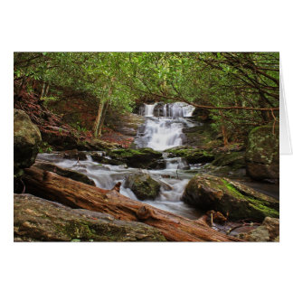 Cartão Big Laurel Falls