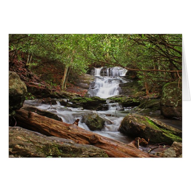 Cartão Big Laurel Falls (Frente Horizontal)