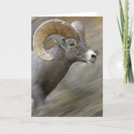 Cartão Bighorn Running do deserto
