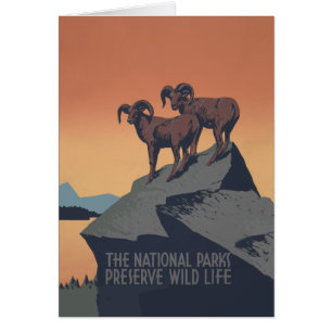 Cartão Bighorn Sheep American West Willife