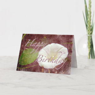 Cartão Bindweed de Aniversário - Glória da Manhã Peren
