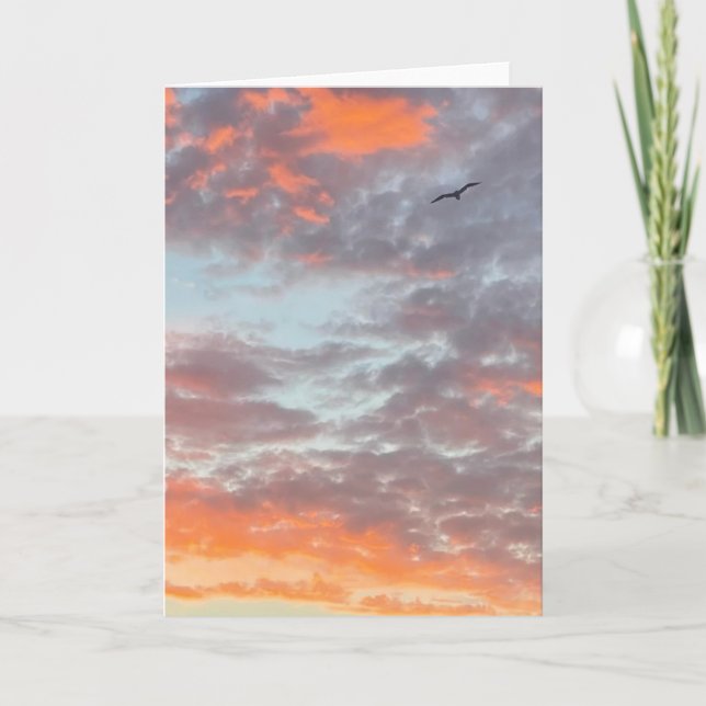Cartão Bird Flying Pink Clouds Sky Photo (Frente)