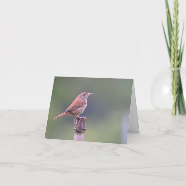 Cartão Bird Notecard (Frente)