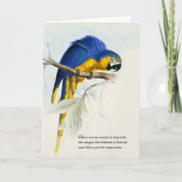 Cartão Bird Pet Sympathy Blue e Dourada Macaw