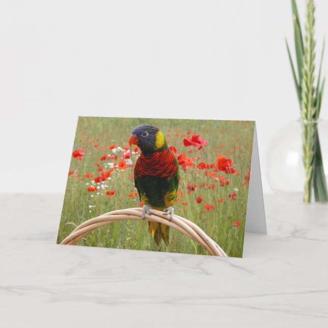 Cartão Birdday feliz! (Frente)