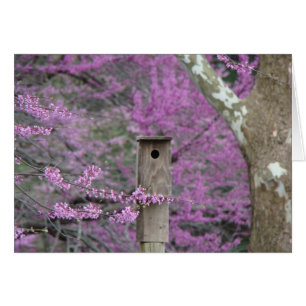 Cartão Birdhouse entre as flores de Redbud