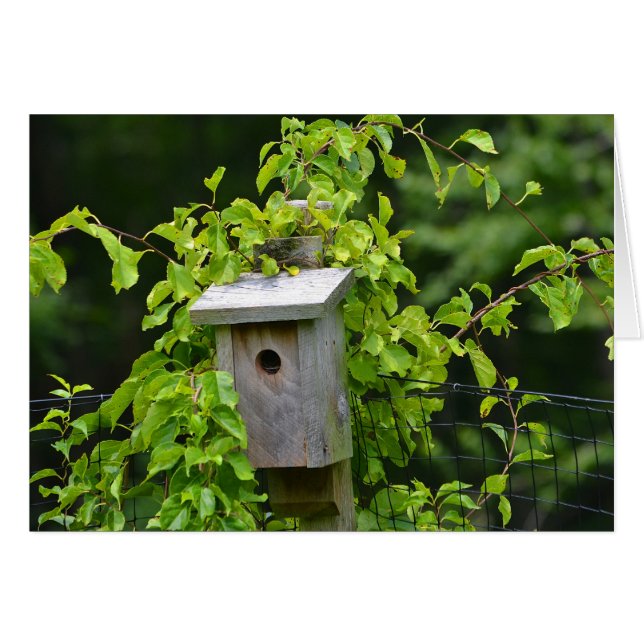 Cartão Birdhouse Notecard (Frente horizontal)