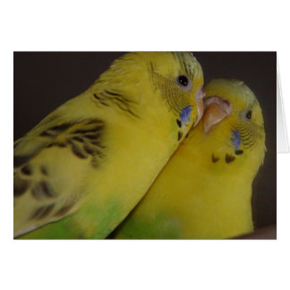 Cartão BirdieBird