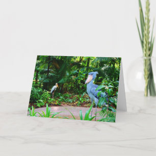 Cartão Birds at Singapore Zoo Greeting Card