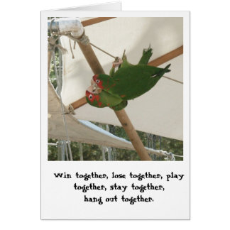 Cartão Birds of a Feather