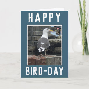 Cartão Birdwatcher ou Birdwatcher Entusiasta Birthday Car