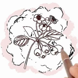 Cartão Birth Flower Hawthorn Red Pink Pensando em você