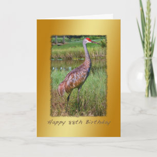 Cartão Birthday, 88th, Sandhill Crane Bird