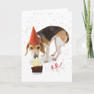 Cartão Birthday Beagle