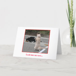 Cartão Birthday Card