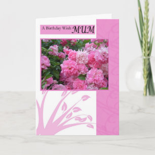 Cartão Birthday Card for mum, wild pink roses