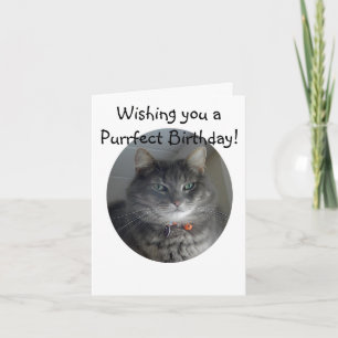 Cartão Birthday Card - Merlin the Cat