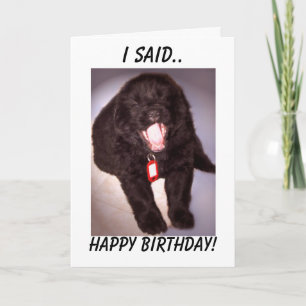 Cartão Birthday Card Newfoundland Puppy