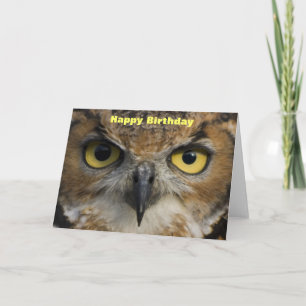 Cartão Birthday Card - Owls Eyes