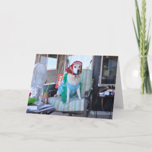 Cartão Birthday card, photo of dog in curlers