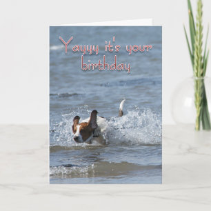 Cartão Birthday Card With Dog - Yayy it's your birthday