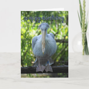 Cartão Birthday Card with pelican