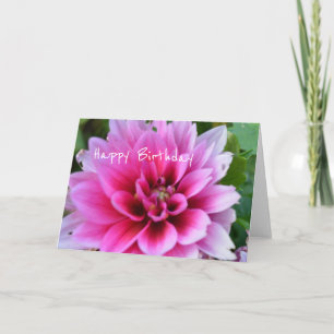 Cartão Birthday card with pink and white dahlia