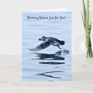 Cartão Birthday Card with Puffin
