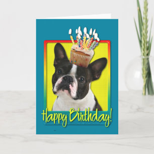 Cartão Birthday Cupcake - Boston Terrier