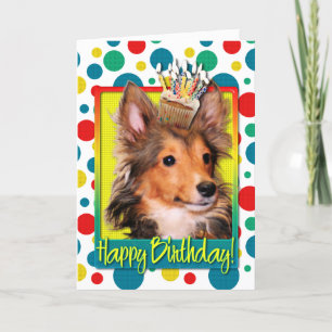 Cartão Birthday Cupcake - Sheltie Puppy - Cooper