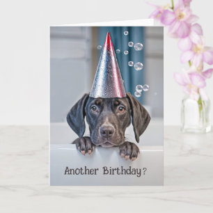 Cartão Birthday Cute Shorthair Pointer Puppy com festa