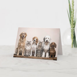 Cartão Birthday Dogs and Cats 