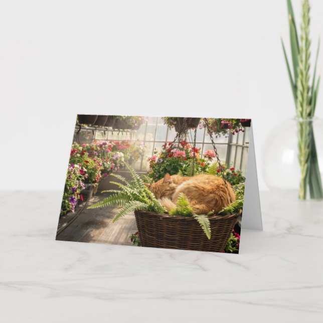 Cartão Birthday Ginger Cat Napping in Hanging Fern Basket (Frente)