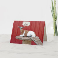 Birthday Goat On Spool Mesa