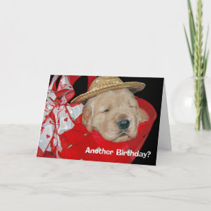 Cartão birthday golden retriever puppy