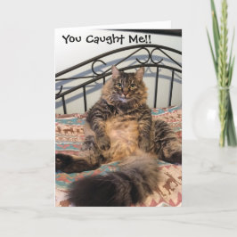 Cartão Birthday Hairball Kimber Cat Birthday