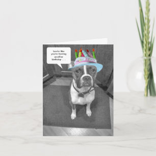 Cartão Birthday Hat Brindle Boxer