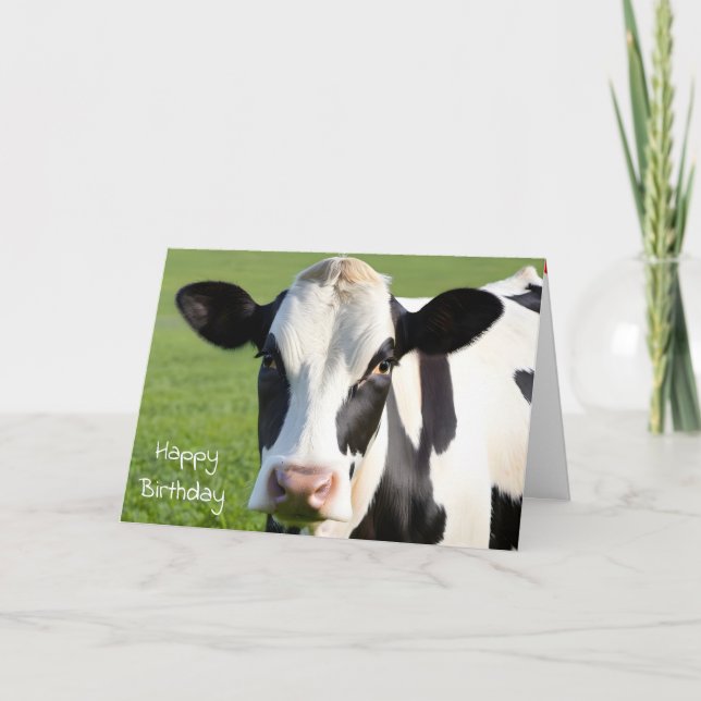 Cartão Birthday Holstein Cow Humor (Frente)