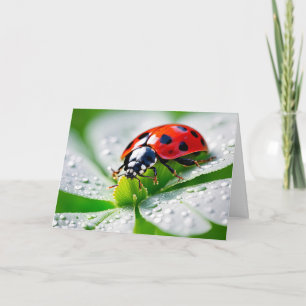 Cartão Birthday Ladybug Em 4 Folhas De Folha
