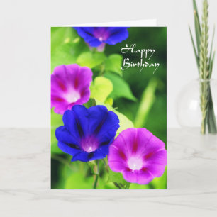 Cartão Birthday - Morning Glories Greeting Card