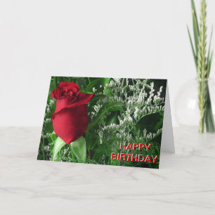 Cartão Birthday Rosa vermelha Bud