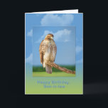 Cartão Birthday, Son-in-law, Rough Legged Hawk Bird<br><div class="desc">The Rough Legged Hawk is a large hawk known for hovering and perching precariously on tree branches.   He makes a very nice and colorful birthday greeting card.</div>