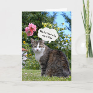 Cartão Birthday Tabby Cat