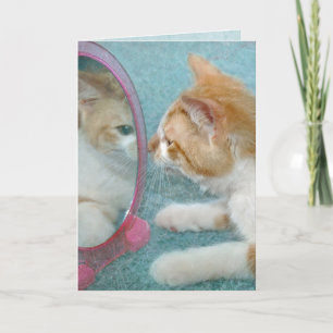 Cartão Birthday Tabby Cat in Mirror