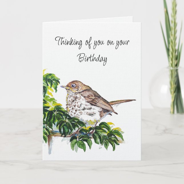 Cartão Birthday Watercolor Swainson's Thrush Bird (Frente)