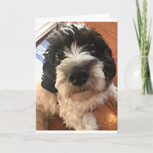 CARTÃO BIRTHDAY WISHES FOR A *BEST FRIEND* IN ALL WAYS