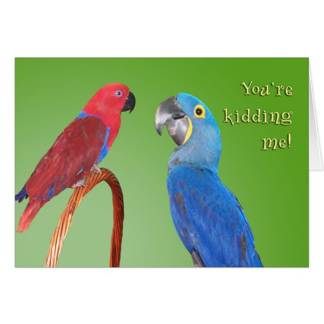 Cartão Bisbolhetice (Frente Horizontal)